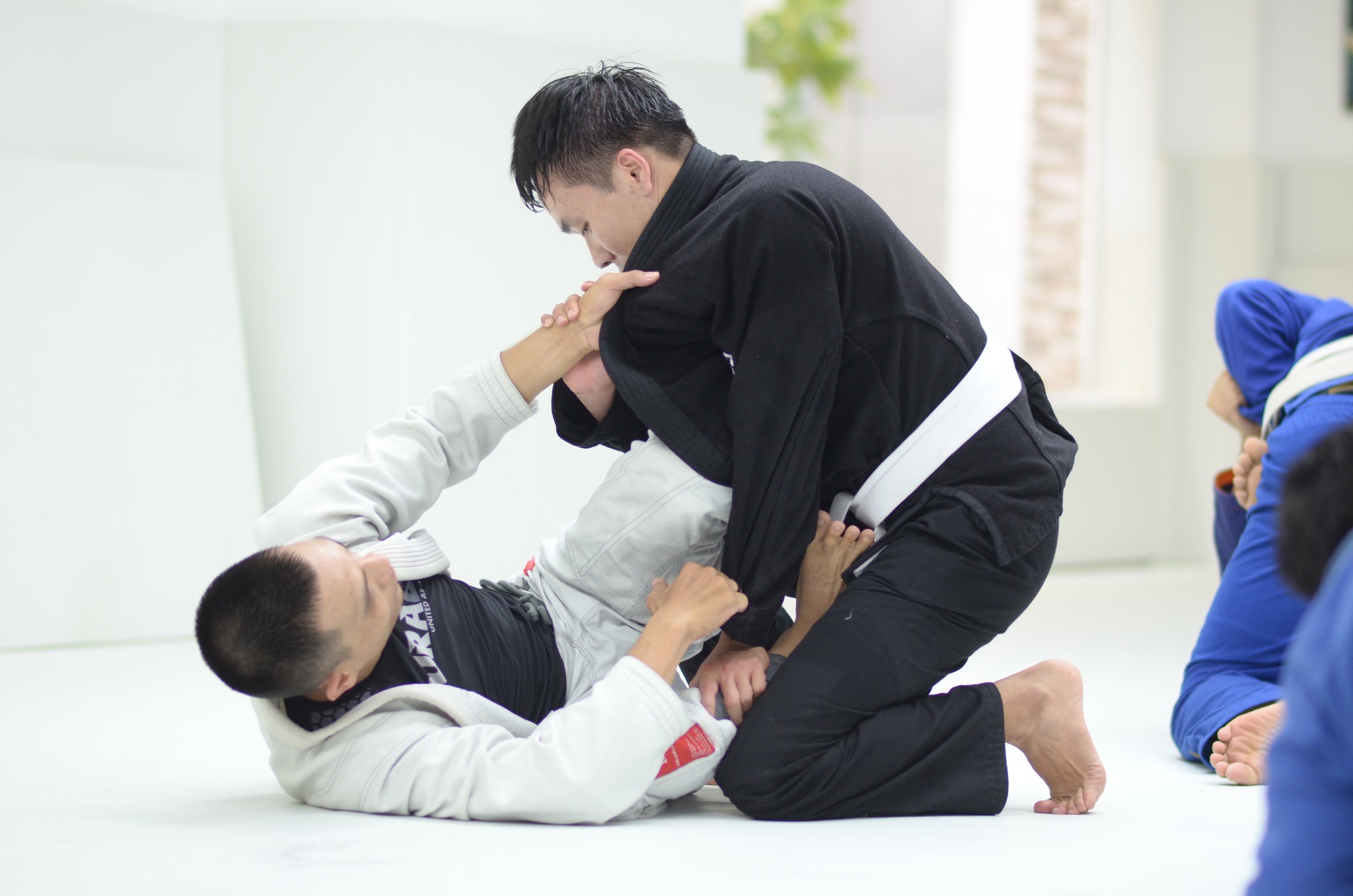 Brazilian JiuJitsu nổi tiếng với tính hiệu quả của nó trong các môn tự vệ và MMA.